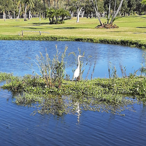 Golf Course «Largo Golf Course», reviews and photos, 12500 Vonn Rd, Largo, FL 33774, USA