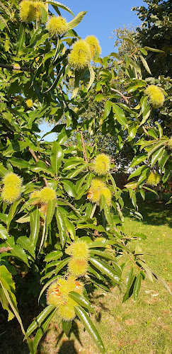 Arboretum de Longjumeau à Longjumeau