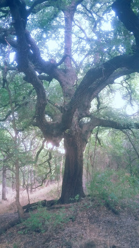 National Park «Waco Mammoth National Monument», reviews and photos, 6220 Steinbeck Bend Dr, Waco, TX 76708, USA