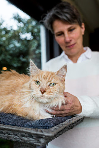 Reacties en beoordelingen van Dierenarts Marianne Postma