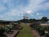 The Wilson Rose Garden