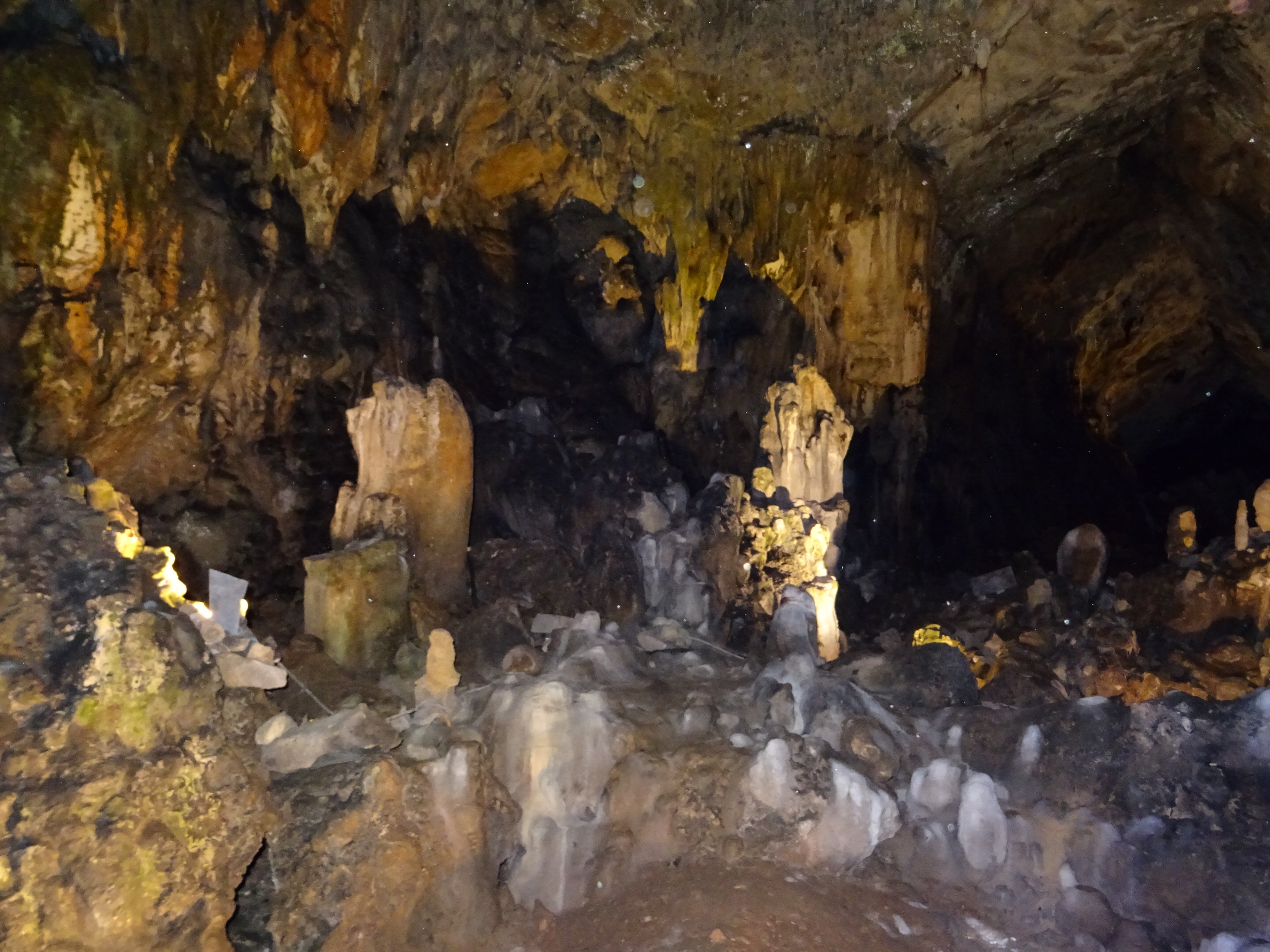 Photo n° 6 de l'avis de 63.s fait le 21/08/2019 à 17:26