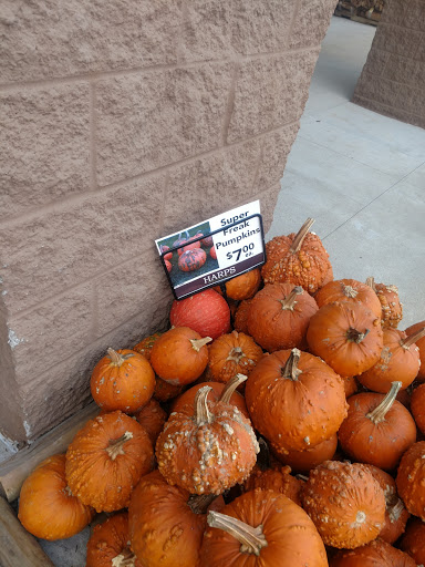 Grocery Store «Harps Food Store», reviews and photos, 2005 Harrisburg Rd, Jonesboro, AR 72401, USA