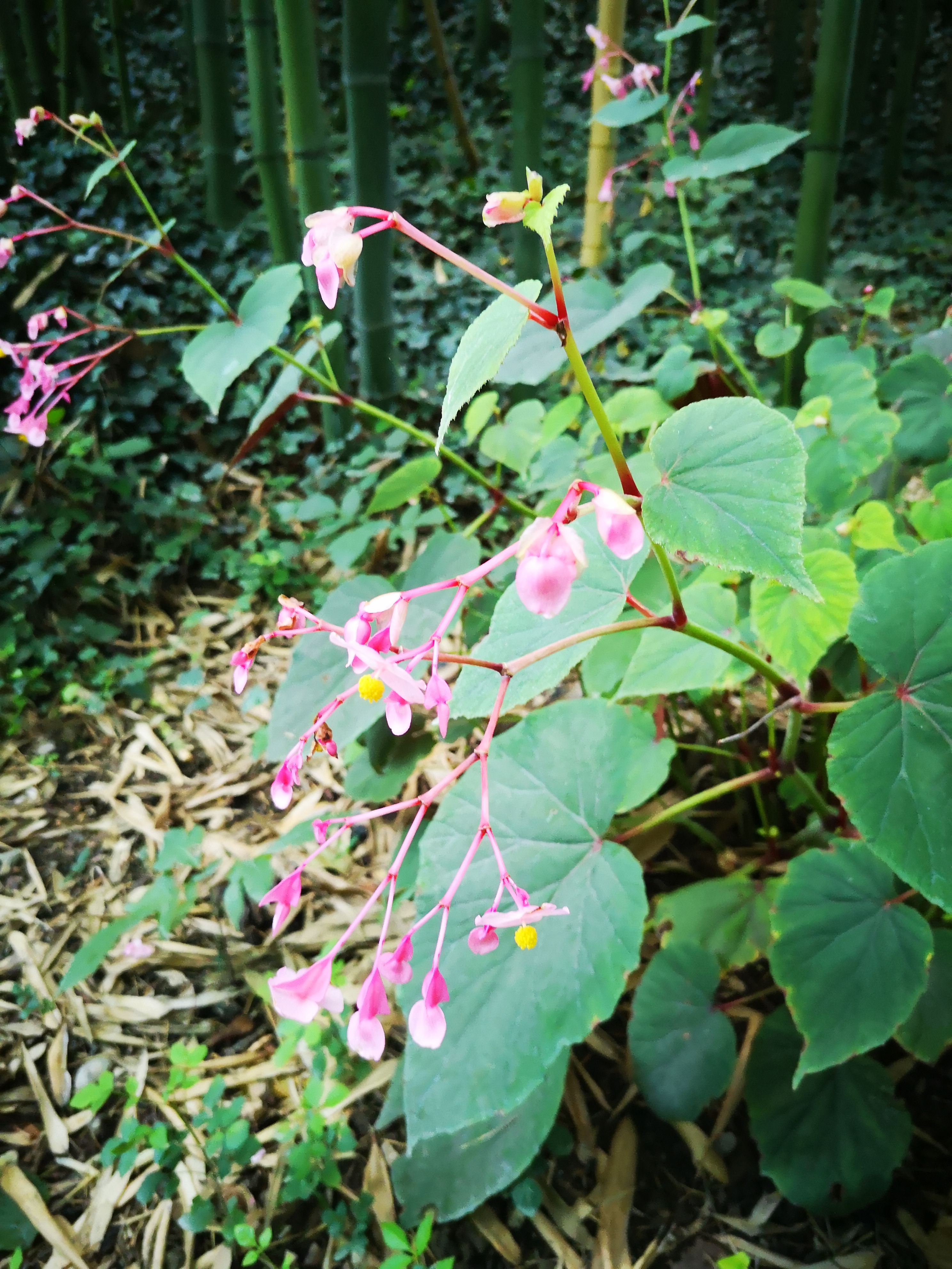 Photo n° 11 de l'avis de Mallory.e fait le 24/08/2020 à 06:08