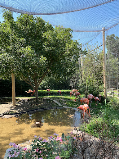 Zoo «Sunset Zoo», reviews and photos, 2333 Oak St, Manhattan, KS 66502, USA