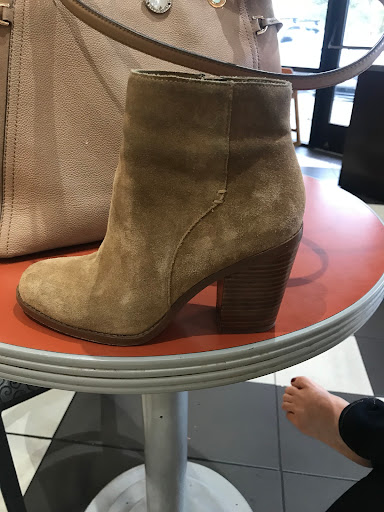 Book Store «Barnes & Noble», reviews and photos, 1930 US-1, St Augustine, FL 32086, USA