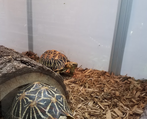 Pet Store «Pets & Such», reviews and photos, 3680 3500 S, West Valley City, UT 84120, USA