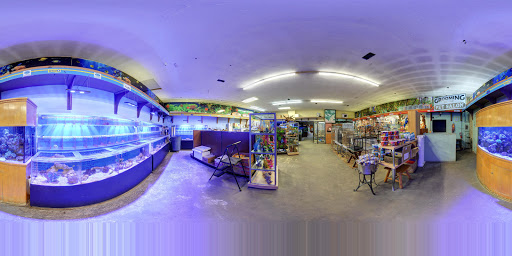 Pet Supply Store «Pet Creations», reviews and photos, 11819 Main St N, Jacksonville, FL 32218, USA