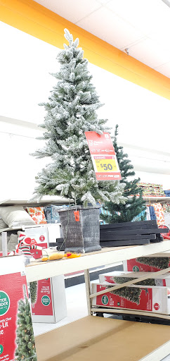 Discount Store «Big Lots», reviews and photos, 7600 Starkey Rd, Seminole, FL 33777, USA