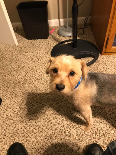 Pet Supply Store «PetSmart», reviews and photos, 1734 Old Fort Pkwy, Murfreesboro, TN 37129, USA