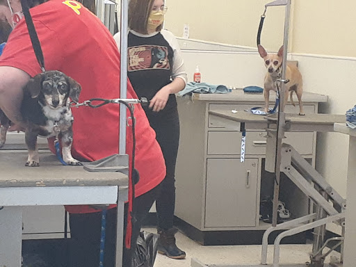 Pet Supply Store «Petco Animal Supplies», reviews and photos, 6020 Crawfordsville Rd, Speedway, IN 46224, USA