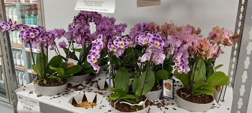 Warehouse club «BJ’s Wholesale Club», reviews and photos, 1800 Dunlawton Ave, Port Orange, FL 32127, USA