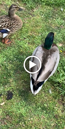 Candy Store «Rocket Fizz Nashville», reviews and photos, 201 2nd Ave N, Nashville, TN 37201, USA
