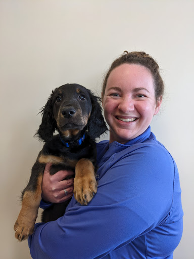 Pet Health Center of Tiffin image