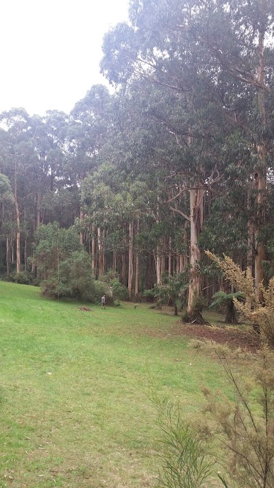 Photos of Banksia Lake Cottages