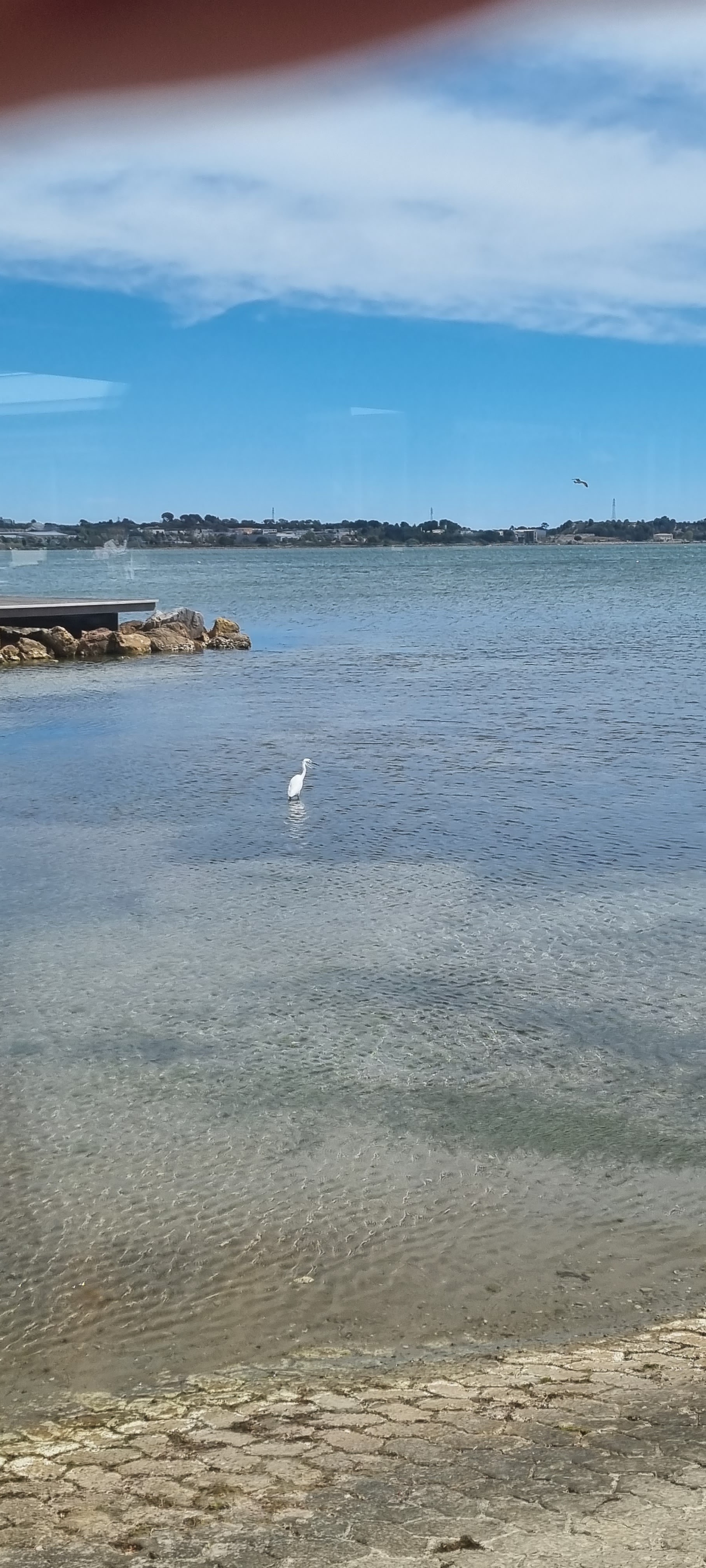Photo n° 2 de l'avis de Françoise.o fait le 16/04/2023 à 15:08