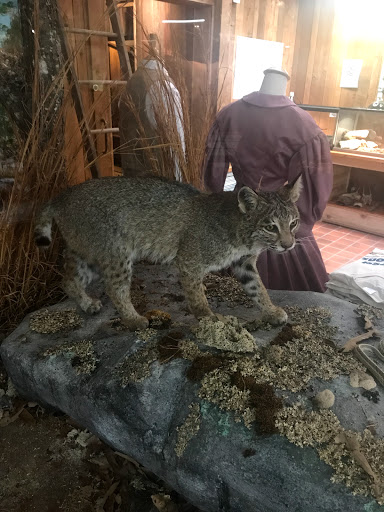 State Park «Panola Mountain State Park», reviews and photos, 2620 GA-155 N, Stockbridge, GA 30281, USA