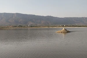 Foy Sagar image