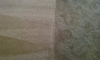Clearly Clean Carpet - Photo 6 - Car repair in Gilbert, AZ, Gilbert