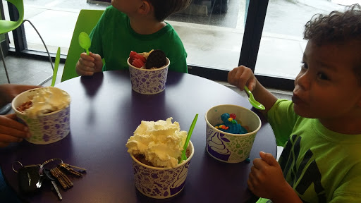 Frozen Yogurt Shop «Yogurt Mountain», reviews and photos, 1801 W Tennessee St #2, Tallahassee, FL 32304, USA