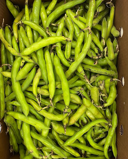 Kosher Grocery Store «Al-Taiba Market», reviews and photos, 1008 W Chapel Hill St, Durham, NC 27707, USA