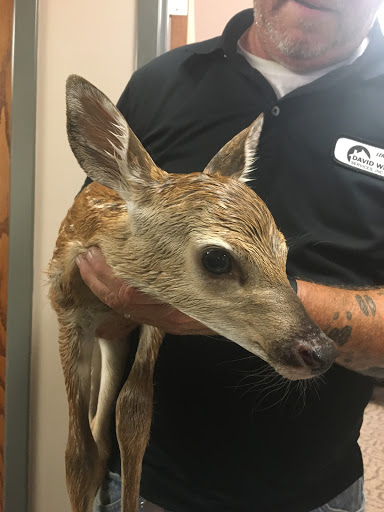 Air Conditioning Contractor «David White Services», reviews and photos