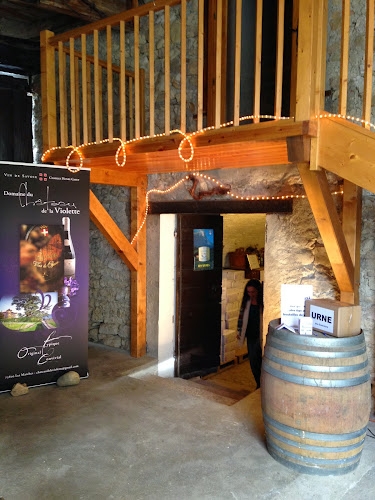Magasin de vins et spiritueux Vins Château de la Violette Porte-de-Savoie