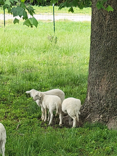 Golf Course «Drumm Farm Golf Club», reviews and photos, 15400 E 34th St S, Independence, MO 64055, USA