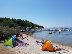Murter Cigrada'in fotoğrafı ve yerleşim
