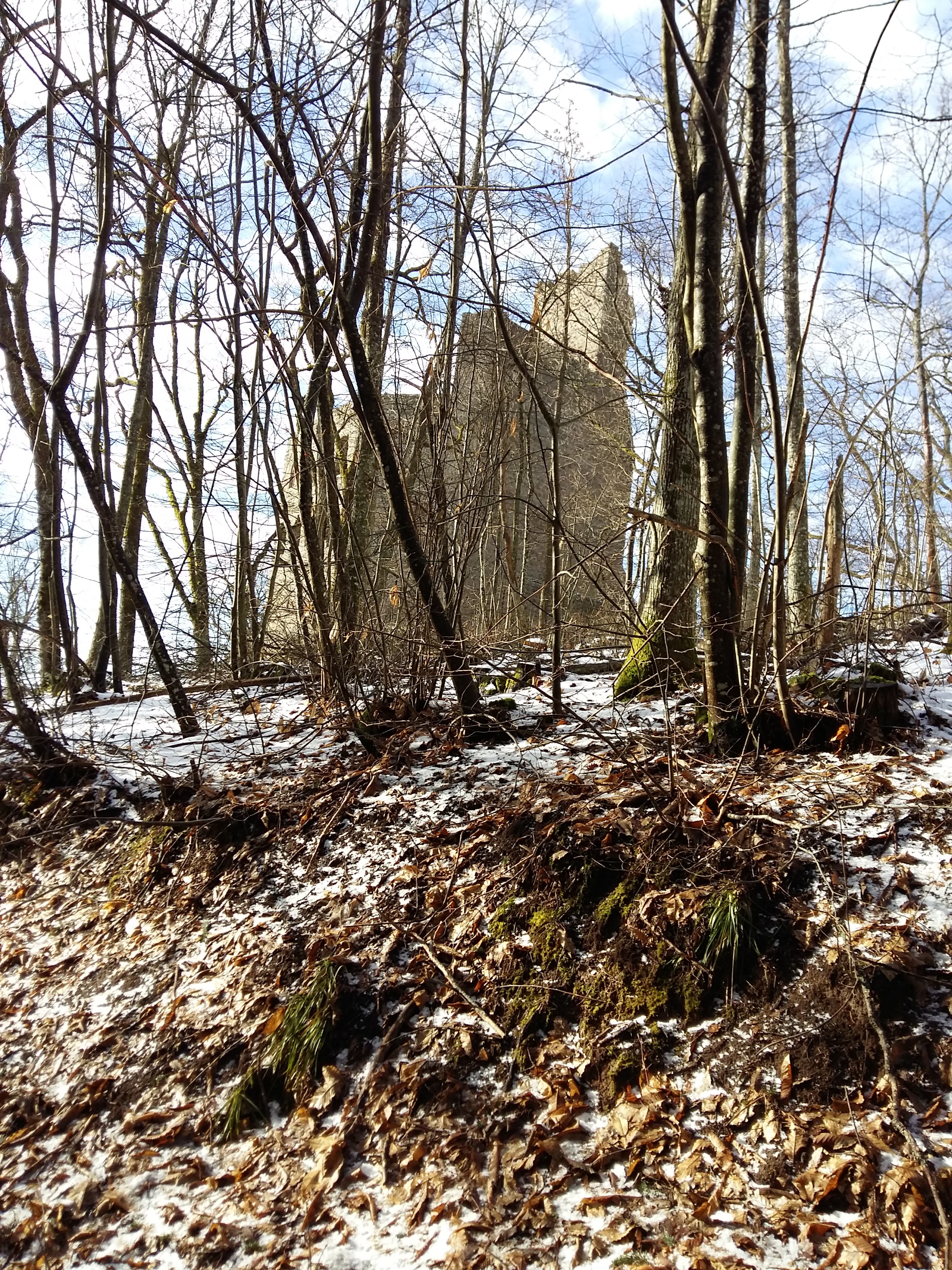 Photo n° 1 de l'avis de Marie-Laure.e fait le 05/03/2018 à 17:48