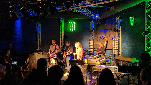 Bar «Wild Bull Saloon», reviews and photos, 139 S Edwards St, Kalamazoo, MI 49007, USA