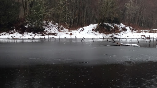 Nature Preserve «Redmond Watershed Preserve», reviews and photos, 21760 NE Novelty Hill Rd, Redmond, WA 98053, USA