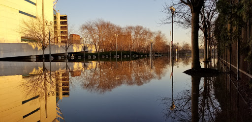 Stadium «Paul Brown Stadium», reviews and photos, 1 Paul Brown Stadium, Cincinnati, OH 45202, USA