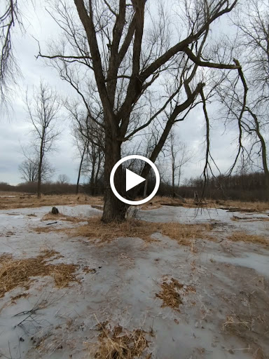 Nature Preserve «Bode Lake», reviews and photos, Bode Rd, Streamwood, IL 60107, USA