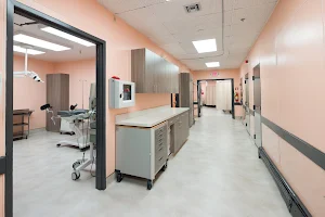 Pilgrim Medical Center image