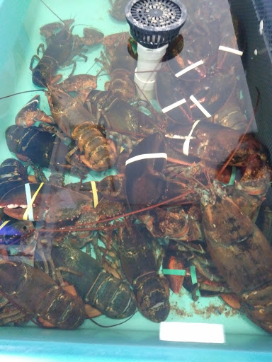 Seafood Market «Cherry Street Fish Market», reviews and photos, 26 Hobart St, Danvers, MA 01923, USA