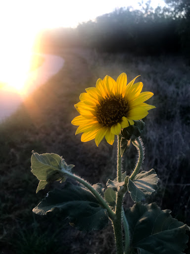 Park «Northwest Community Park», reviews and photos, 8575 Blue Mound Rd, Fort Worth, TX 76137, USA