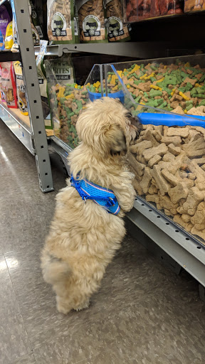 Pet Supply Store «Pet Supplies Plus», reviews and photos, 12407 MoPac Expy 525 - B, Austin, TX 78758, USA