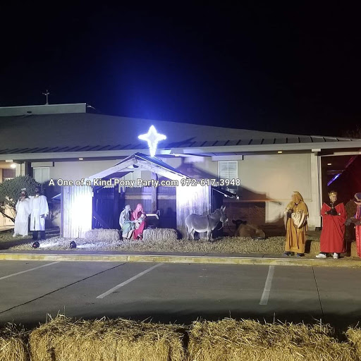 Zoo «A One of A Kind Pony Party», reviews and photos, 912 Bells Chapel Cir, Waxahachie, TX 75165, USA