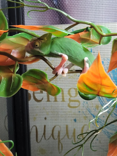 Pet Supply Store «Petco Animal Supplies», reviews and photos, 517 N 3rd Pl, Manhattan, KS 66502, USA