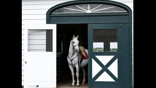 Tourist Attraction «The Tempel Lipizzans», reviews and photos, 17000 W Wadsworth Rd, Old Mill Creek, IL 60083, USA