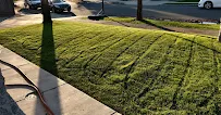 Hennesay Yard Clean Up - Car repair in , Fresno - Rated 5.0/5