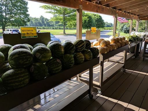 Fruit and Vegetable Store «Fifer Orchards - Farm, Country Store & CSA», reviews and photos, 1919 Allabands Mill Rd, Camden Wyoming, DE 19934, USA