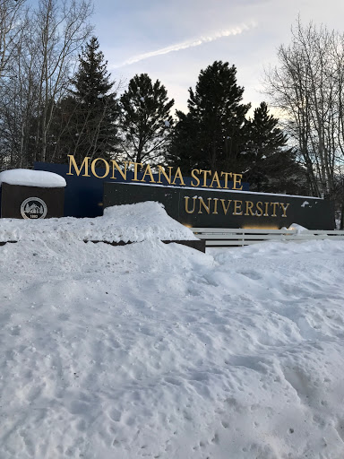 Print Shop «FedEx Office Print & Ship Center», reviews and photos, 1013 W College St, Bozeman, MT 59715, USA