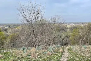 Trinity Trails Oakmont Park Trailhead image