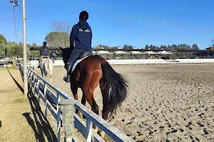 Horse Club of Olives image