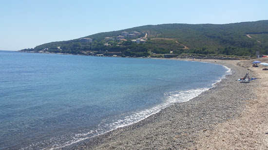Santa Severa Beach