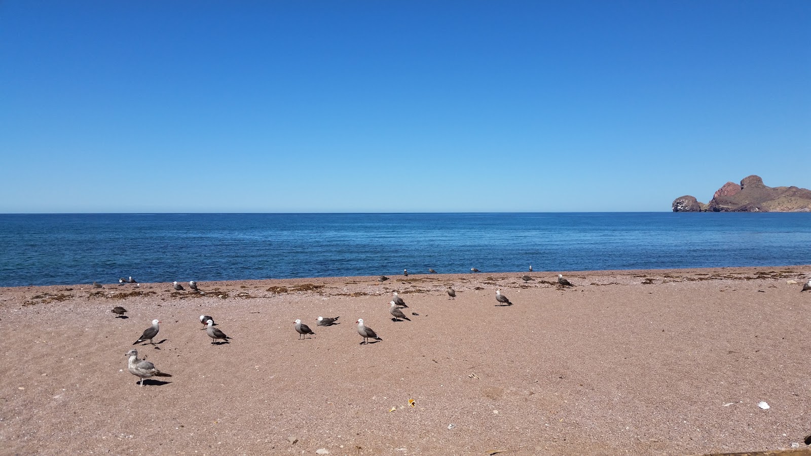 Foto de Playa San Agustín con agua cristalina superficie