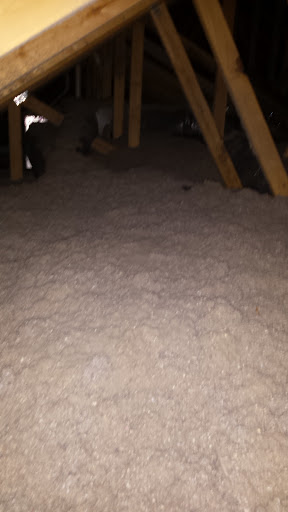 Roofing Contractor «Energy Smart Exterior Restoration», reviews and photos