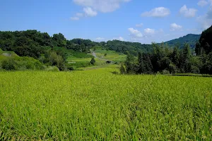 Inabuchi Terraced Rice Fields image